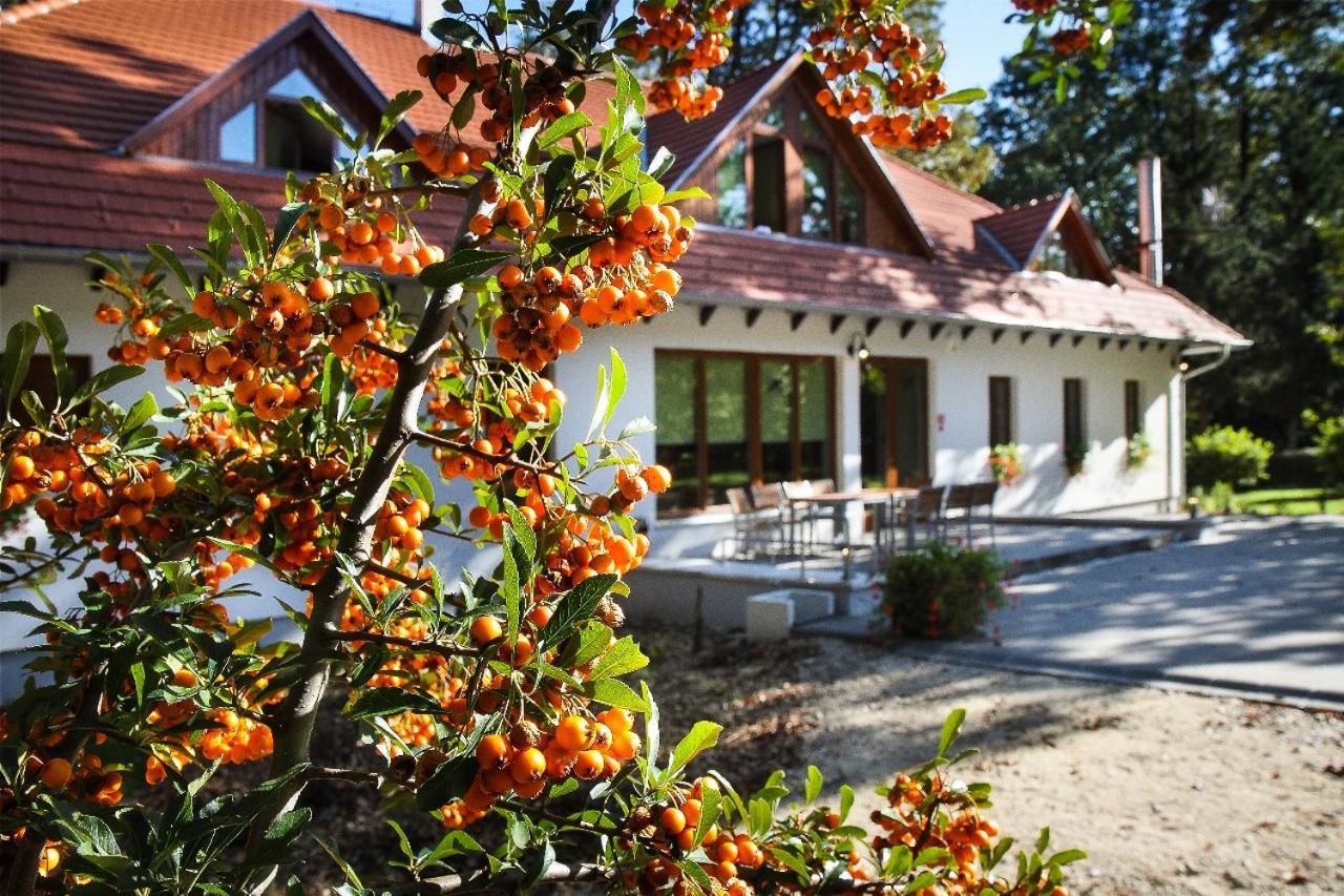 Hodoseri Vadaszhaz Bakonyszentlaszlo Exteriér fotografie